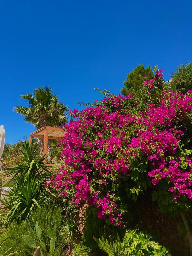 Luxus Tholos Bay Apartment Tholos (Crete)